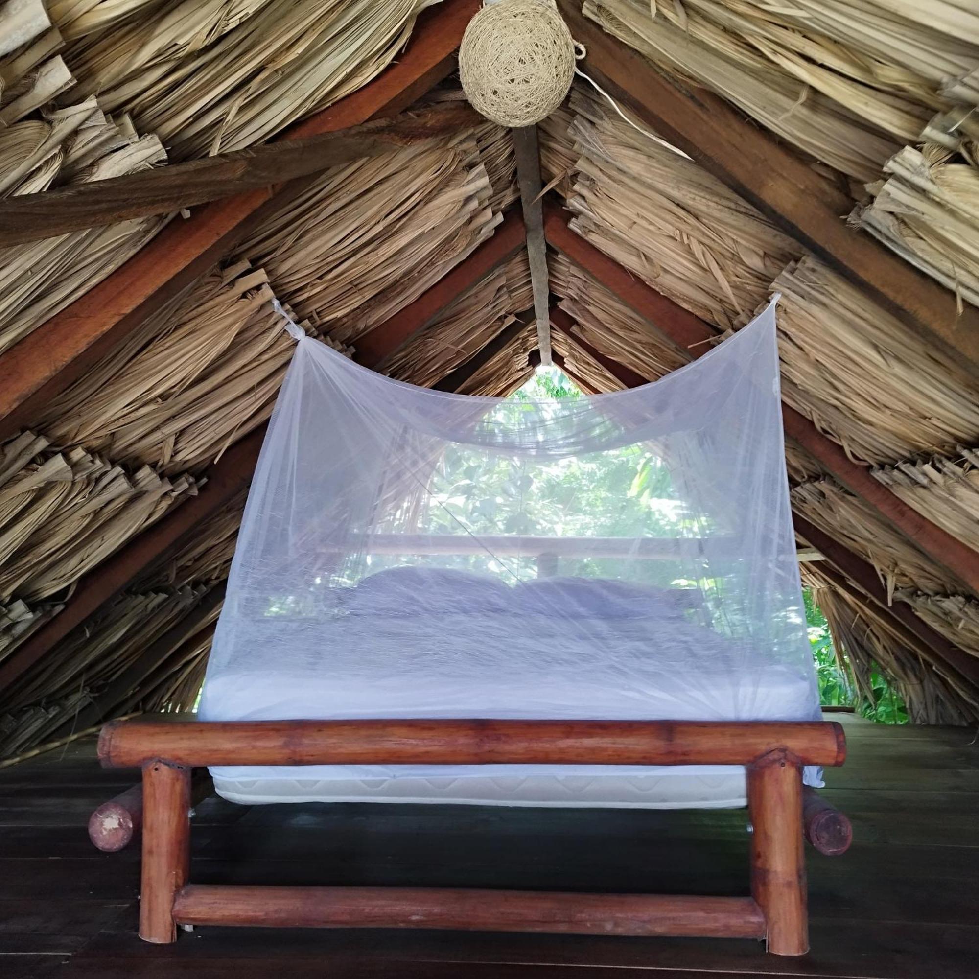 Auroa Palomino Hotel Luaran gambar
