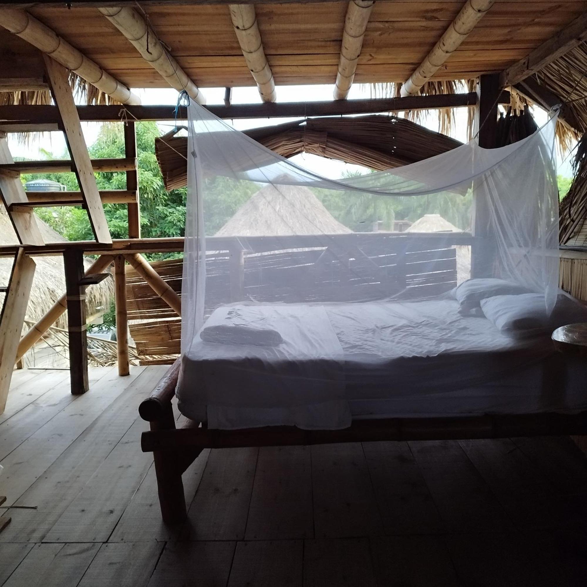 Auroa Palomino Hotel Luaran gambar