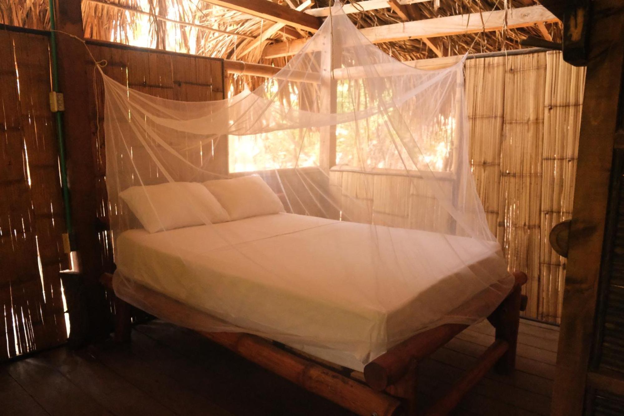 Auroa Palomino Hotel Luaran gambar